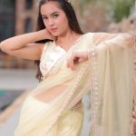 Sunehri Noor Designer Saree