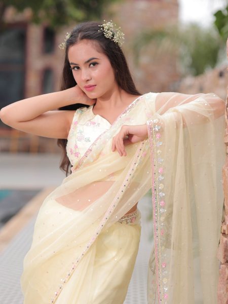 Sunehri Noor Designer Saree